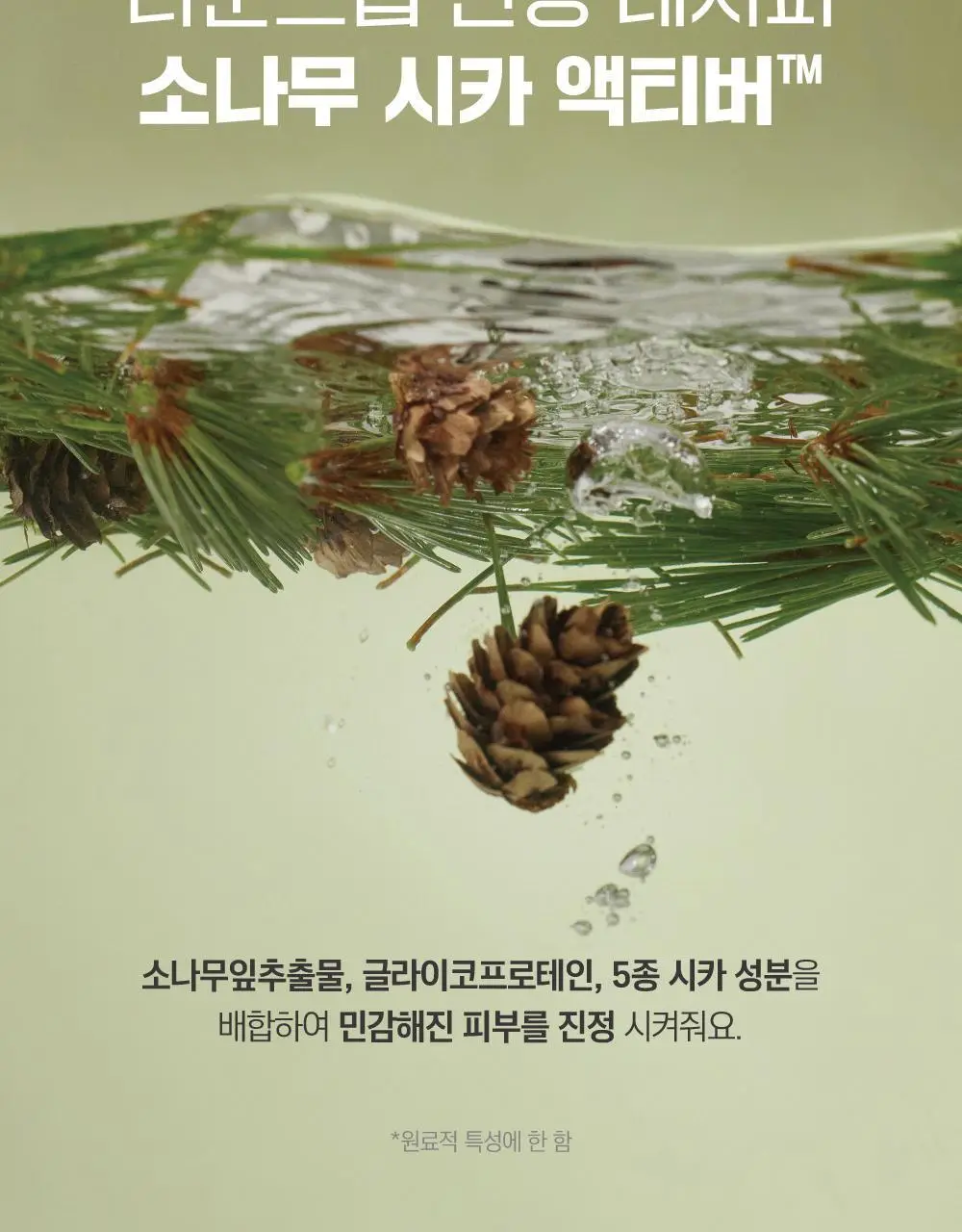 [NEW/피지숯싹] 라운드랩 소나무 시카 딥 포어 클렌징오일 200ml 상세페이지 12
